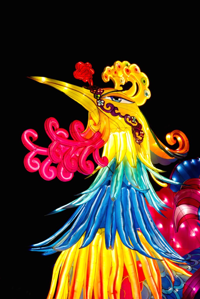 china light licht festival lichtshow show festiviteit glow evenement event chinees chinese verlichting draak dragon lichtfestival zoo